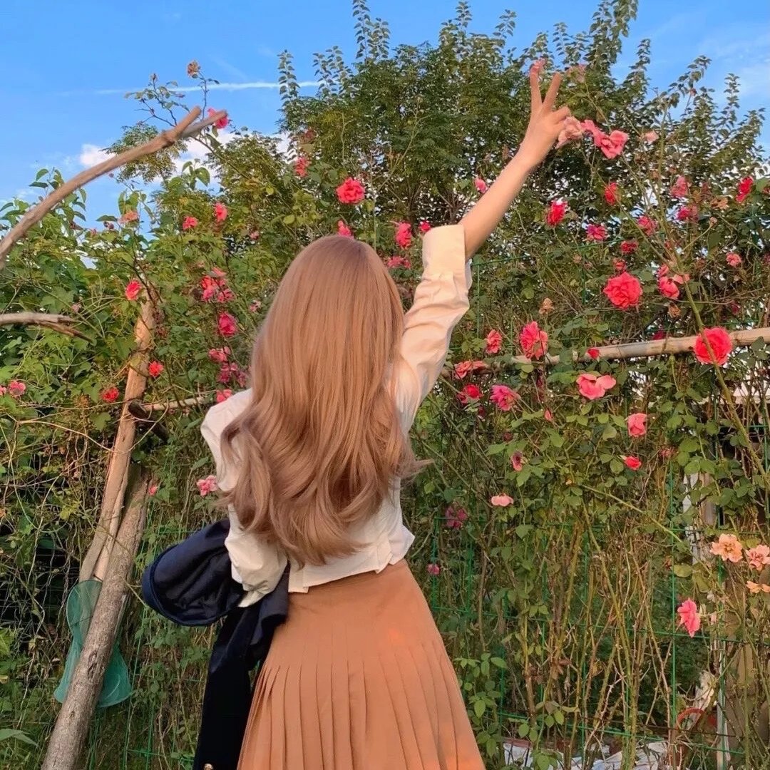 钢炽之芯